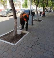 В Астрахани продолжается масштабная уборка