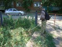 ИНФОРМАЦИЯ  о ходе проведения операции «МАК-2018» по состоянию на 1 июня 2018 года