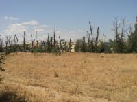 28 июня и 18 июля 2015 года  в  Ленинском районе были проведены  субботники. 