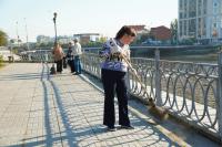 На бульваре Энергетиков высадили розы