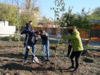 Сотрудники администрации Ленинского района совместно с Советом ветеранов Ленинского района и учащимися колледжа ЖКХ АГАСУ произвели благоустройство зеленой зоны у мемориала