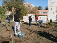 Сотрудники администрации Ленинского района совместно с Советом ветеранов Ленинского района и учащимися колледжа ЖКХ АГАСУ произвели благоустройство зеленой зоны у мемориала