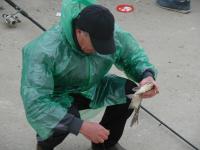 Рыбацкий фестиваль "Вобла - 2017"