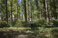 Почти 2200 квадратных метров дикорастущих наркосодержащих растений уничтожено в Астрахани