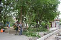 В Астрахани провели опиловку деревьев на ул. Свердлова и Эспланадной