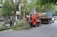 В Астрахани провели опиловку деревьев на ул. Свердлова и Эспланадной