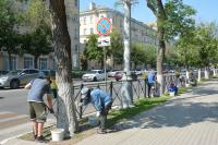 Более тонны краски ушло на побелку деревьев в Астрахани за два дня