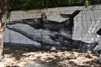 Паблик-арт раскрасит Астрахань 