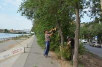 В Астрахани наводят порядок на набережных 1 Мая и Приволжского затона