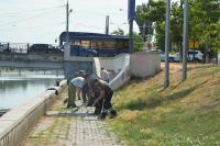 В Астрахани наводят порядок на набережных 1 Мая и Приволжского затона