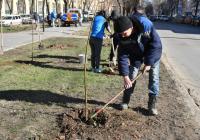 Высадка деревьев и масштабная уборка – Астрахань встречает весну