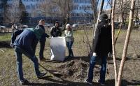 Высадка деревьев и масштабная уборка – Астрахань встречает весну