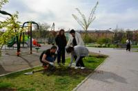 В Советском районе Астрахани прошли акции по озеленению