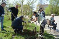 В Астрахани прошел этносубботник