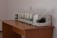 В Астрахани опиливают ветки для обеспечения видимости знаков у школ