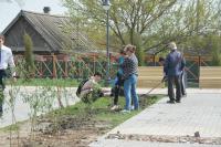 В сквере Строителей высадили три десятка деревьев