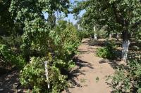 В школах и детских садах города продолжается ремонт  