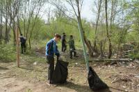 В сквере Строителей высадили три десятка деревьев