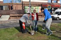 Высадка саженцев по ул. Савушкина