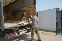 С начала года более 150 собак из муниципального приюта обрели новых хозяев