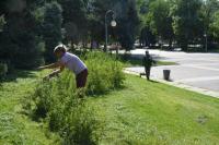 В Астрахани на площади Ленина привели в порядок цветники