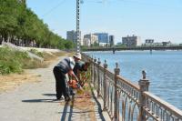 В Астрахани на площади Ленина привели в порядок цветники