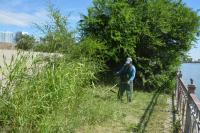 В Астрахани на площади Ленина привели в порядок цветники