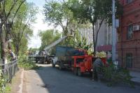 В Астрахани приступили к масштабной опиловке улицы Савушкина