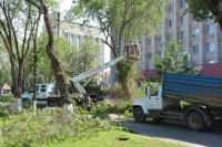 В Астрахани приступили к масштабной опиловке улицы Савушкина