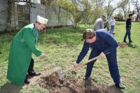 В парке Аркадия появилась Аллея дружбы