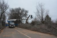 По Аэропортовскому проезду опиливают аварийные деревья