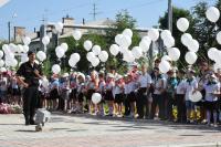 200 белых журавликов взмыли сегодня над Аллеей Воинской славы