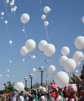 200 белых журавликов взмыли сегодня над Аллеей Воинской славы