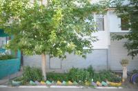 В благоустройстве родного города может поучаствовать каждый