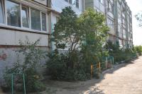 В благоустройстве родного города может поучаствовать каждый