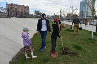 На «Аллее семьи» установили воркаут-площадку