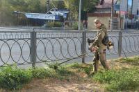 На улице Адмирала Нахимова косят сорную растительность