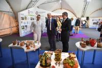 Социальные предприниматели из Астрахани и Калининграда обменялись опытом