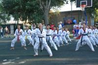 Около трех тысяч астраханцев отметили День рыбака в парке «XX лет Октября» в Трусовском районе