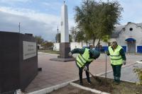 Более тысячи саженцев высадили на острове Городском