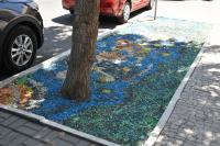 В городе появились необычные клумбы