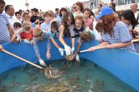 От экологической акции к историческому  экскурсу – в Астрахани проходят торжества, посвященные Дню города