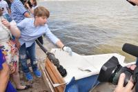 От экологической акции к историческому  экскурсу – в Астрахани проходят торжества, посвященные Дню города