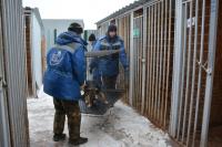 Около 600 бездомных собак отловили в Астрахани с начала 2024 года 