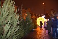 На главной городской елке зажгли огни 