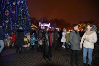 На главной городской елке зажгли огни 