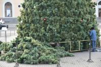 Астраханская новогодняя ёлка в этом году стала выше