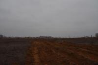 Еще 20 многодетных семей получили землю