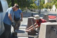 На площади Ленина опилили более двадцати деревьев