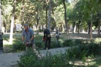 На центральной набережной продолжают приводить в порядок зеленые насаждения